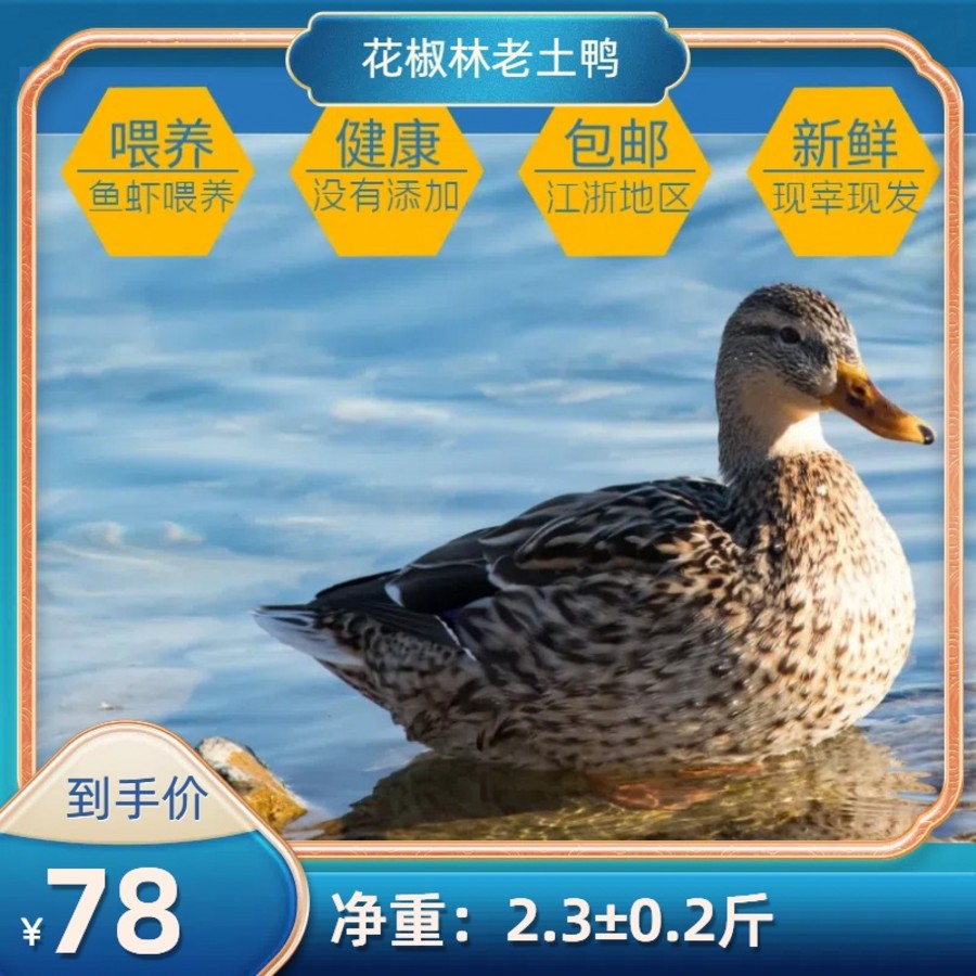 （广）花椒林老土鸭子
